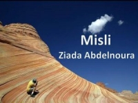 Misli Ziada Abdelnoura – pps
