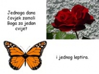 Leptir i cvijet – prezentacija o molitvi