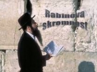 Rabinova skromnost – pps