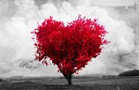 stablo-srce-ilustracija-ljubav